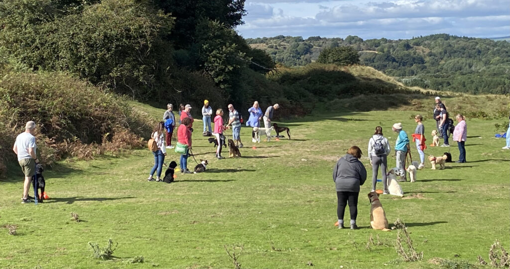 Nia Rogers - Bark To Basics Dog Training - Bridgend, United Kingdom